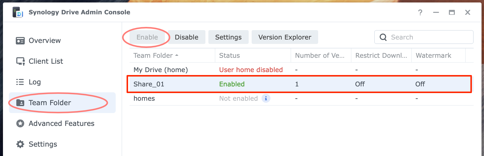 synology drive server, admin console, team folder, dsm7